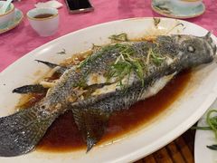 -侠成水上农庄(工业大道店)