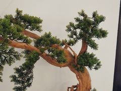 -楚禾宴·家宴(光谷大道店)