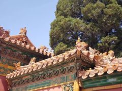 -故宫博物院(故宫)