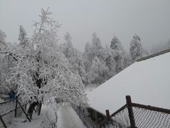 -峨眉山报国寺