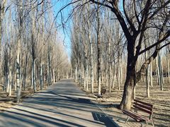 -东郊湿地公园