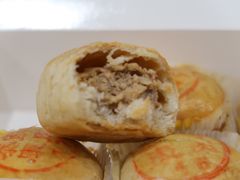 鲜肉月饼-百年泰康鲜肉月饼