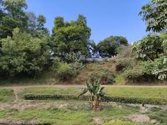 -广东金融学院(校本部)