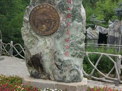 -王顺山国家森林公园