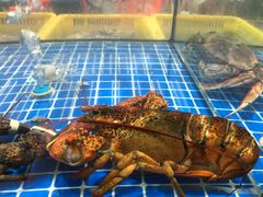 -金海湾海鲜排档(朱家尖店)