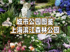 -上海滨江森林公园