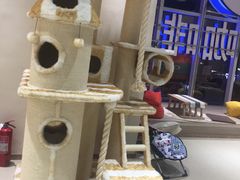 -藏猫猫咖啡主题馆(中央大道店)