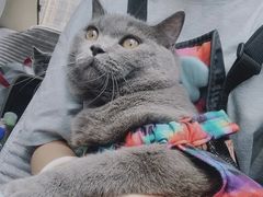 -芭比堂动物医院·犬猫全科·异宠专科(雁塔分院)