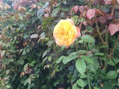 -北京宽沟会议中心