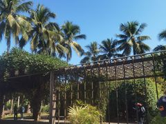 -中国科学院西双版纳热带植物园
