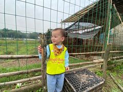 -宾果蒙特梭利托育儿童之家幼儿园(爱琴海店)