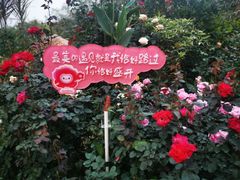 -人民公园(罗湖区)