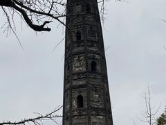 -上海佘山国家森林公园天马山园