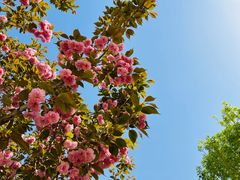 -兴芮温泉度假区