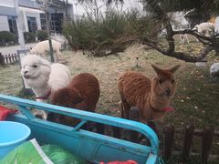 -东方时尚驾校摩托车考试场(东方时尚驾校西区店)