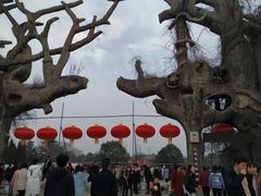 -禹州森林植物园