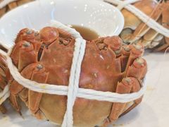阳澄湖大闸蟹-品鲜村农家菜·阳澄湖大闸蟹(总店)
