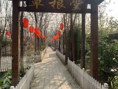 -草根堂农场