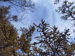 -白草畔自然风景区