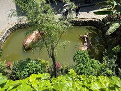 -燊海井