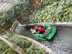 -南宫五洲植物乐园