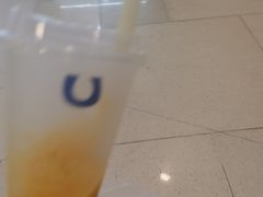 -春丽小马(济南恒隆广场店)