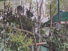 -可伦宾野生动物保护区