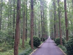 iphone_upload_pic-上海怡沁园度假酒店