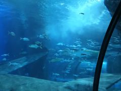 -福州罗源湾海洋世界旅游区