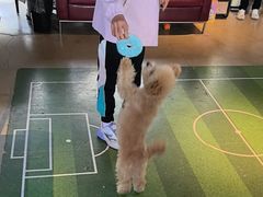 -百好乐宠物友好餐厅(朝外大街店)