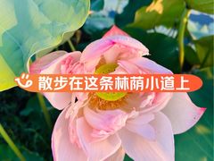 -上海怡沁园度假酒店