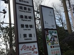 -MAMACHA妈妈茶(岳麓山店)