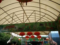 -上海大自然野生昆虫馆(东方明珠·爬宠昆虫探索中心)