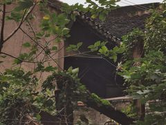 -上海集装箱码头有限公司张华浜码头