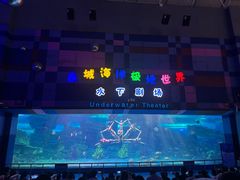 -泉城欧乐堡海洋极地世界