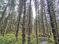 -硗碛藏寨·神木垒景区