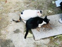 -上海市龙华烈士陵园