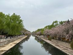 -元大都城垣遗址公园