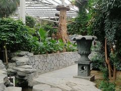 -泰山花样年华景区