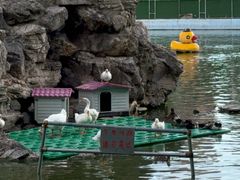 -团结湖公园