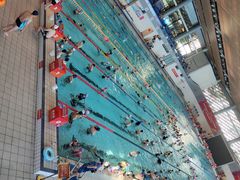 -南山文体中心-游泳馆