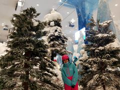 -长沙湘江冰雪世界