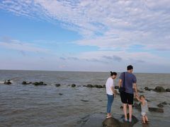 -南汇嘴观海公园