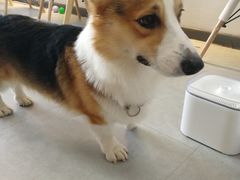 -汪说·狗咖(旺城大厦店)