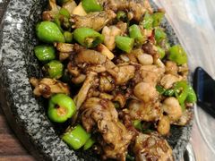 石锅牛蛙-古田会·肥肠鸡(古田店)