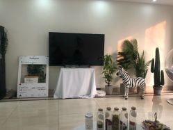 -VE专注问题肌·赛诺龙&科学美肤中心