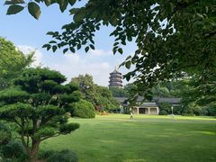 -浙江西子宾馆·牡丹厅