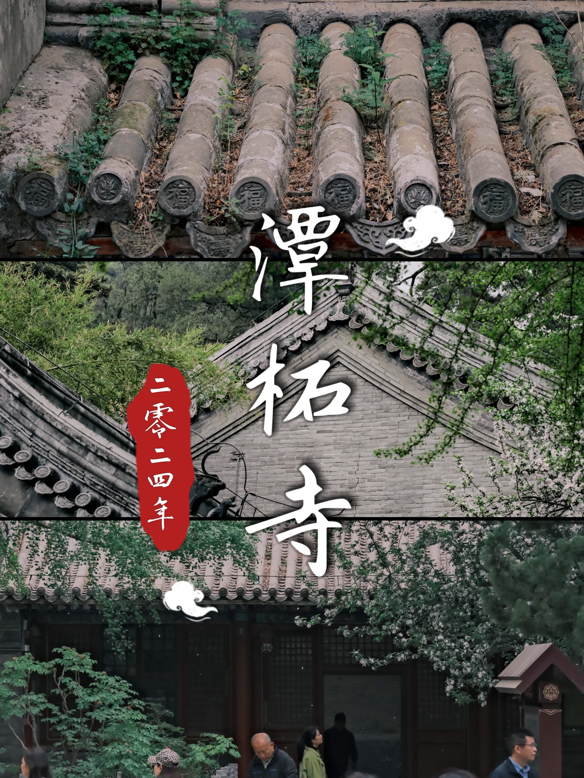 潭柘寺logo图片