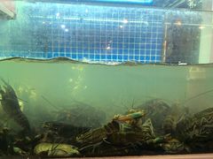 -冶建镜子·老南昌大排档·江西虾王(总店)