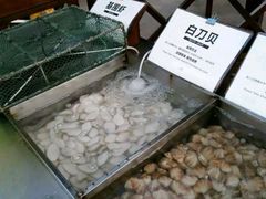 -渔家火锅·海鲜自助餐·演艺(亚龙湾天域酒店)